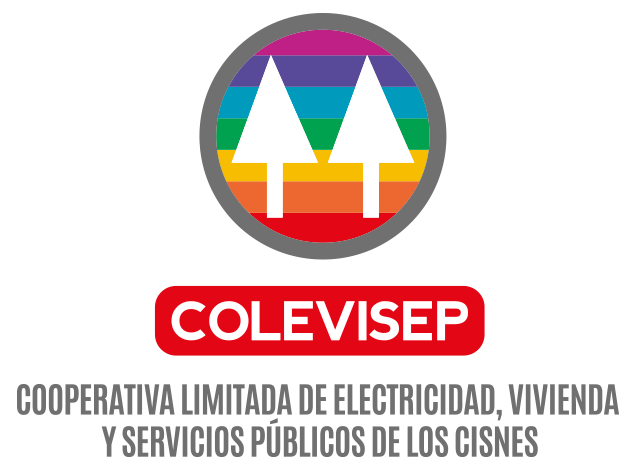 Los Cisnes y el municipio cooperativo como modelo de gestión comunitaria