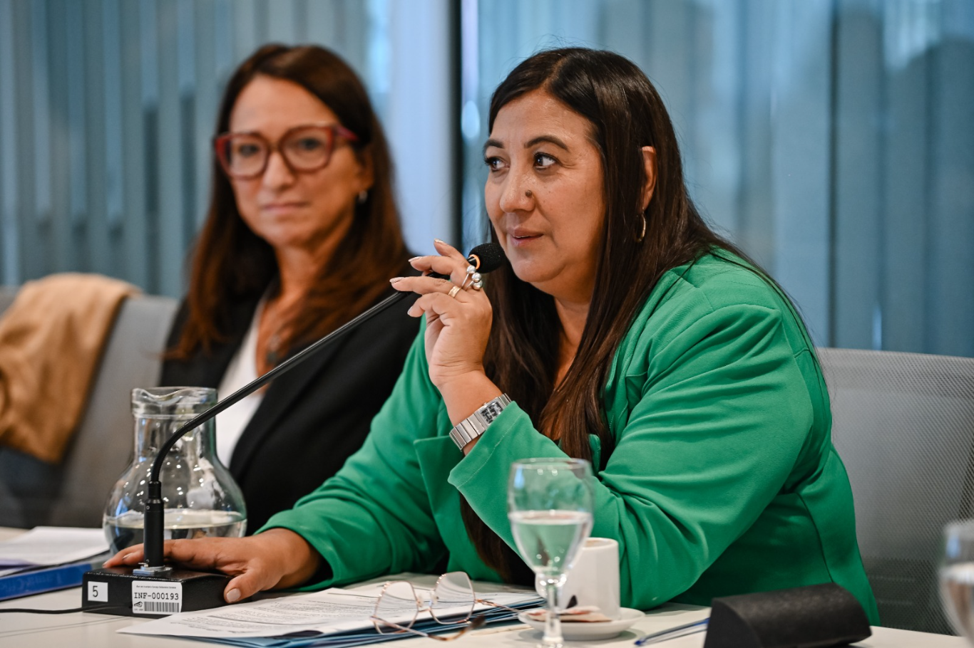 Mónica Rosales y el legado: pensar Argentina desde Córdoba hacia el mundo
