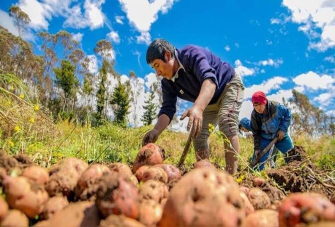 Agregar valor en origen: abren una convocatoria para cooperativas agroalimentarias