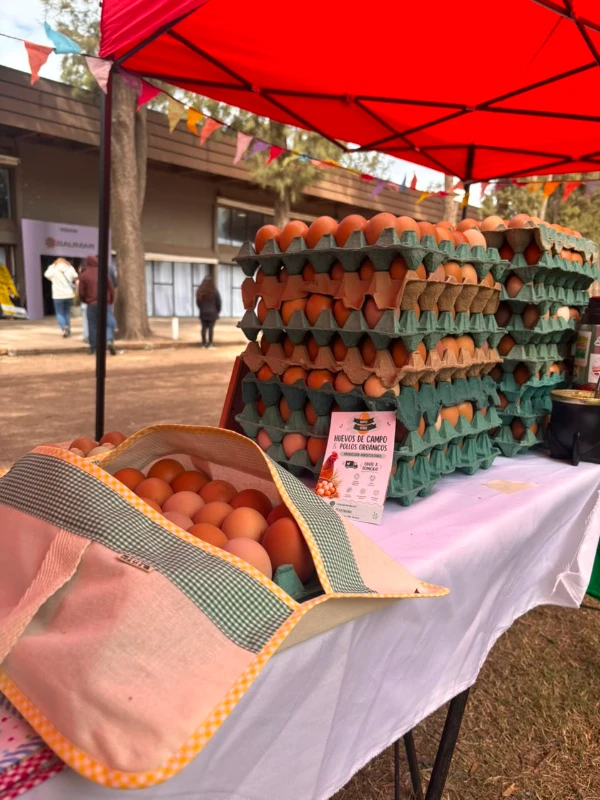 Agroecología, vínculos y nuevos mercados: la oportunidad que MECA26 abrió para Maple Verde