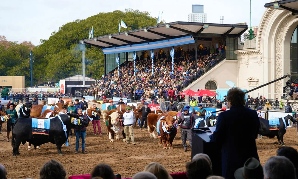 7 perspectivas agrarias: soja con aplausos ¿jubilados y discapacitados con veto?