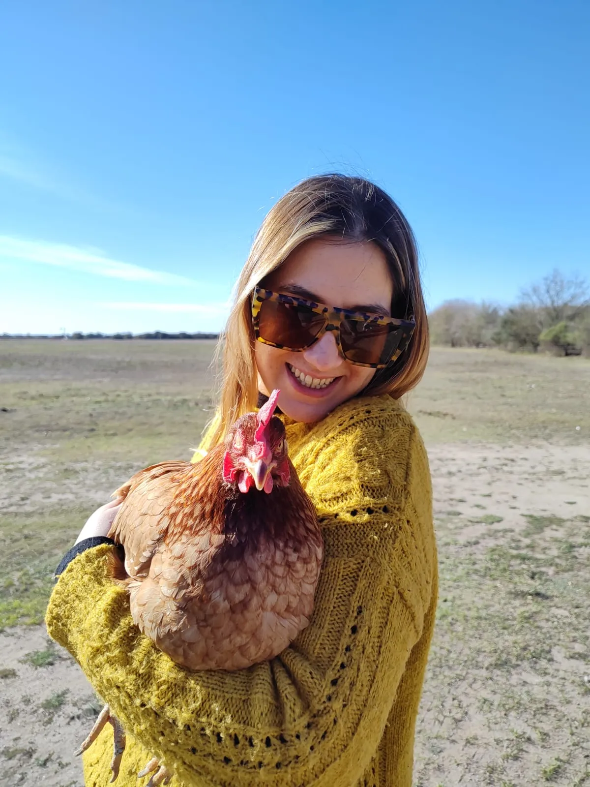 Gallinas libres, huevos hiper-nutritivos y un modelo productivo que cuida